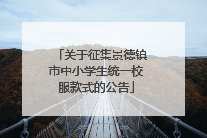 关于征集景德镇市中小学生统一校服款式的公告