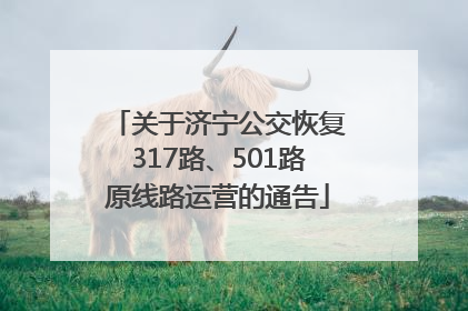 关于济宁公交恢复317路、501路原线路运营的通告