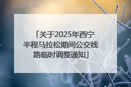 关于2025年西宁半程马拉松期间公交线路临时调整通知