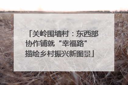关岭围墙村：东西部协作铺就“幸福路” 描绘乡村振兴新图景