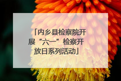 内乡县检察院开展“六一”检察开放日系列活动