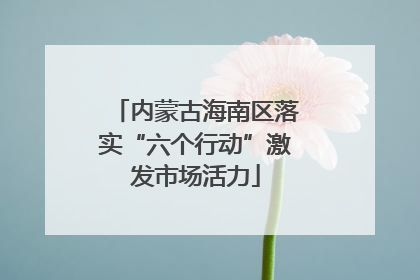 内蒙古海南区落实“六个行动”激发市场活力