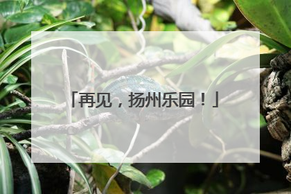 再见，扬州乐园！