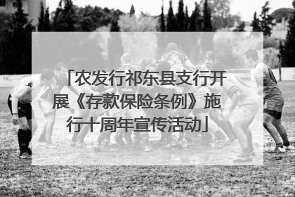农发行祁东县支行开展《存款保险条例》施行十周年宣传活动