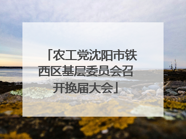 农工党沈阳市铁西区基层委员会召开换届大会