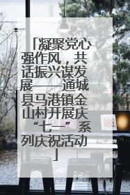 凝聚党心强作风，共话振兴谋发展——通城县马港镇金山村开展庆“七一”系列庆祝活动