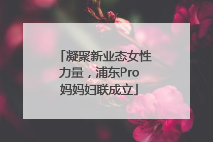 凝聚新业态女性力量，浦东Pro妈妈妇联成立