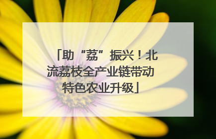 助“荔”振兴！北流荔枝全产业链带动特色农业升级