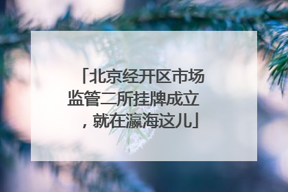 北京经开区市场监管二所挂牌成立，就在瀛海这儿