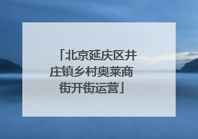 北京延庆区井庄镇乡村奥莱商街开街运营