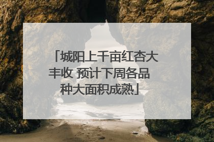 城阳上千亩红杏大丰收 预计下周各品种大面积成熟