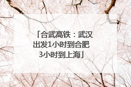 合武高铁：武汉出发1小时到合肥3小时到上海