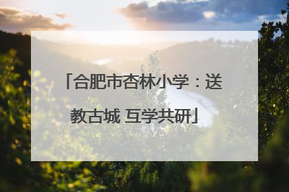 合肥市杏林小学：送教古城 互学共研