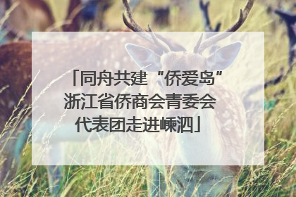 同舟共建“侨爱岛” 浙江省侨商会青委会代表团走进嵊泗
