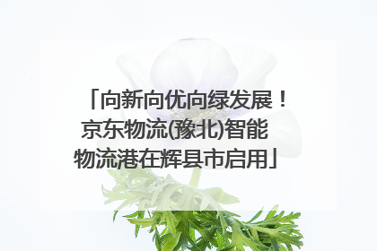 向新向优向绿发展！京东物流(豫北)智能物流港在辉县市启用