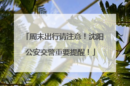 周末出行请注意！沈阳公安交警重要提醒！