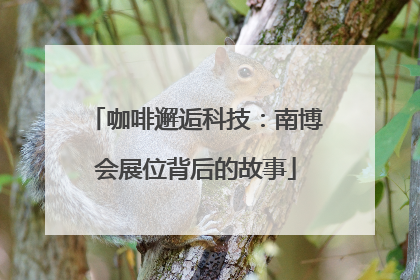咖啡邂逅科技：南博会展位背后的故事
