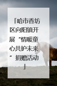 哈市香坊区向阳镇开展“情暖童心共护未来”捐赠活动