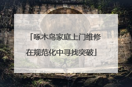 啄木鸟家庭上门维修在规范化中寻找突破