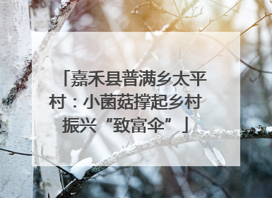 嘉禾县普满乡太平村：小菌菇撑起乡村振兴“致富伞”