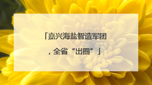 嘉兴海盐智造军团，全省“出圈”