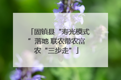 固镇县“寿光模式”落地 联农带农富农“三步走”