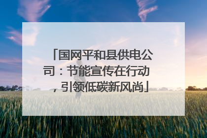 国网平和县供电公司：节能宣传在行动，引领低碳新风尚