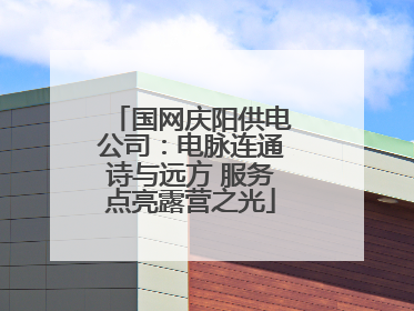 国网庆阳供电公司：电脉连通诗与远方 服务点亮露营之光