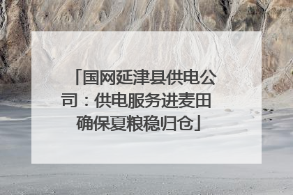 国网延津县供电公司：供电服务进麦田 确保夏粮稳归仓
