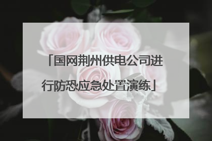 国网荆州供电公司进行防恐应急处置演练