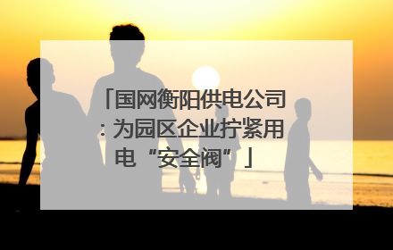 国网衡阳供电公司：为园区企业拧紧用电“安全阀”