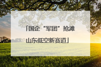 国企“军团”抢滩山东低空新赛道