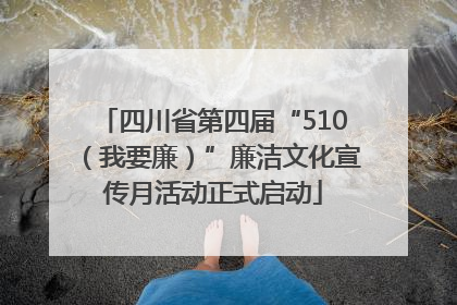 四川省第四届“510（我要廉）”廉洁文化宣传月活动正式启动