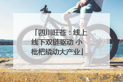 四川旺苍：线上线下双链驱动 小枇杷撬动大产业
