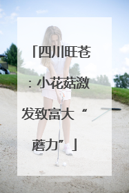 四川旺苍：小花菇激发致富大“蘑力”