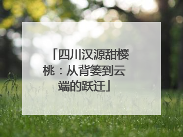 四川汉源甜樱桃：从背篓到云端的跃迁