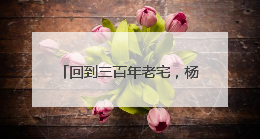 回到三百年老宅，杨家堂村原住民把童年的乡愁开成了民宿