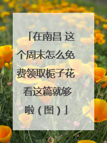 在南昌 这个周末怎么免费领取栀子花 看这篇就够啦（图）