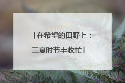 在希望的田野上：三夏时节丰收忙