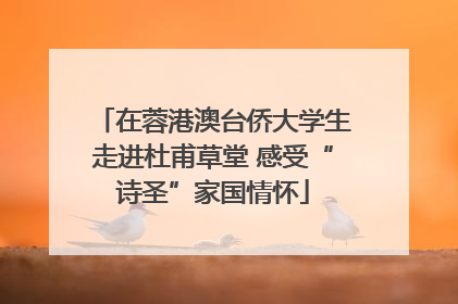 在蓉港澳台侨大学生走进杜甫草堂 感受“诗圣”家国情怀