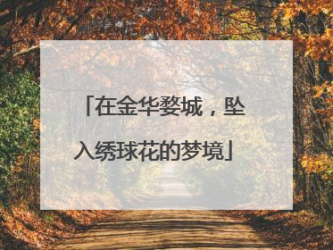 在金华婺城，坠入绣球花的梦境