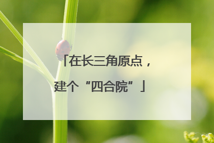 在长三角原点，建个“四合院”