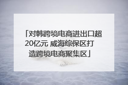 对韩跨境电商进出口超20亿元 威海综保区打造跨境电商聚集区