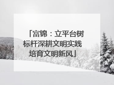 富锦：立平台树标杆深耕文明实践培育文明新风