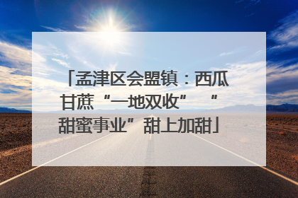 孟津区会盟镇：西瓜甘蔗“一地双收” “甜蜜事业”甜上加甜