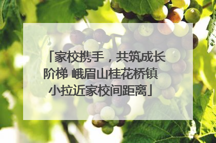 家校携手，共筑成长阶梯 峨眉山桂花桥镇小拉近家校间距离