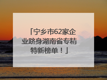 宁乡市62家企业跻身湖南省专精特新榜单！
