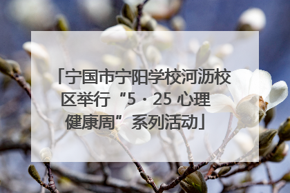 宁国市宁阳学校河沥校区举行“5・25 心理健康周”系列活动