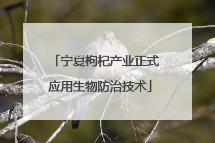 宁夏枸杞产业正式应用生物防治技术