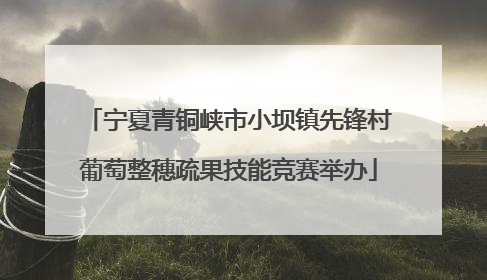 宁夏青铜峡市小坝镇先锋村葡萄整穗疏果技能竞赛举办